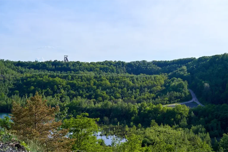 Carrière Simon, vue sur le site naturel