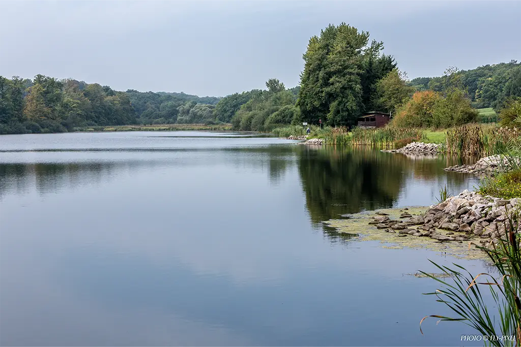 Etang de metzing