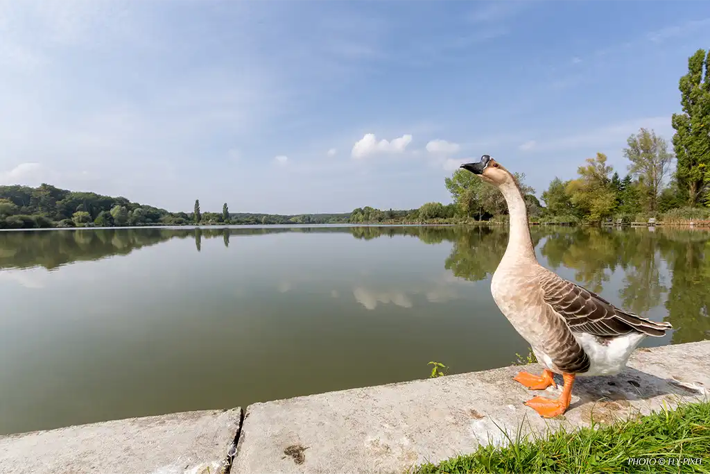 Etang photo by fly pixel 2