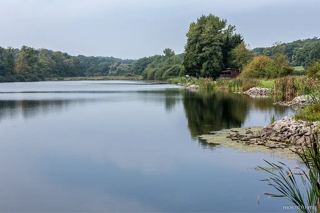 Etang photo by fly pixel 3