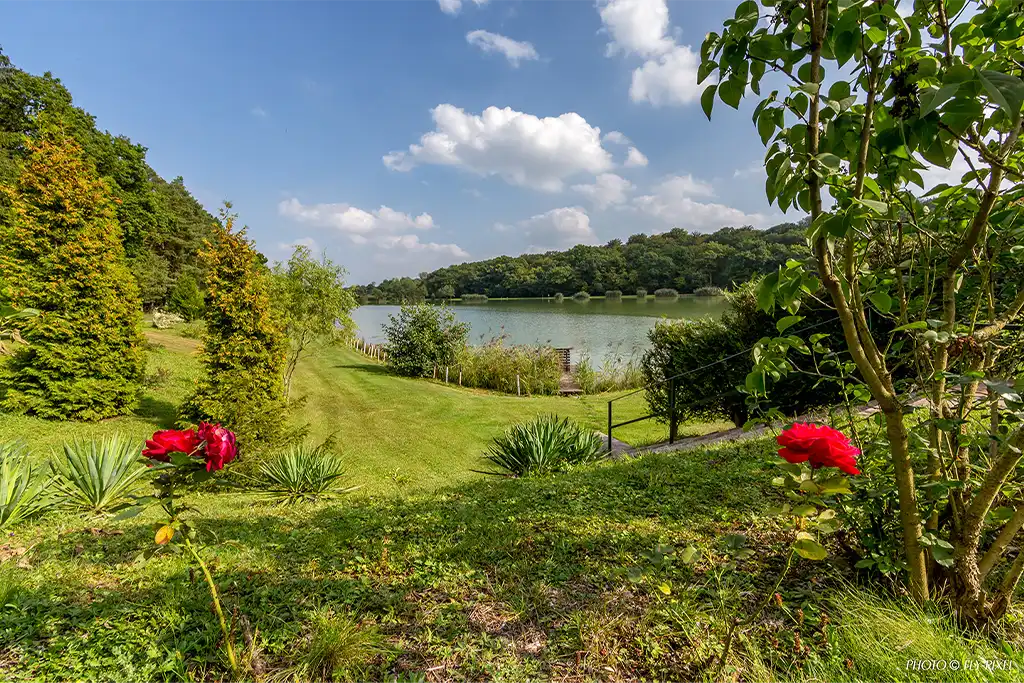 Etang photo by fly pixel 4