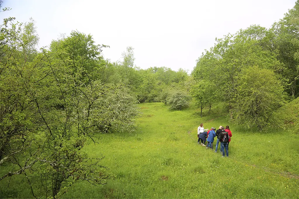 kreutzweck_crédit HelloJu